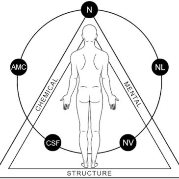 La Kinesiologia Applicata